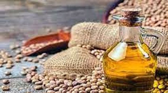 खाद्य तेलों में टिकाव; अन्य जिंसों में मिलाजुला रुख