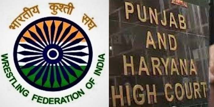 पंजाब-हरियाणा हाई कोर्ट ने कुश्ती महासंघ के चुनाव पर लगाई रोक