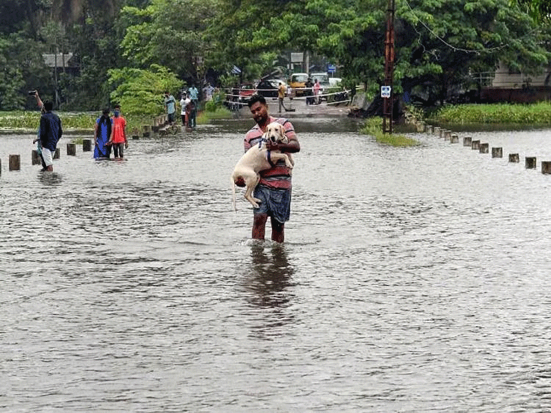 केरल के कुछ हिस्सों में भारी बारिश, दो लोगों की मौत - Dainik Savera Times |  Hindi News Portal