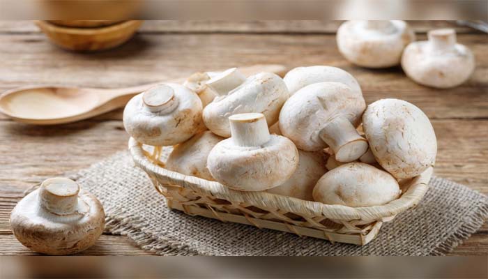 Consumption of Mushroom will control your cholesterol level, know its more benefits – Dainik Savera Times