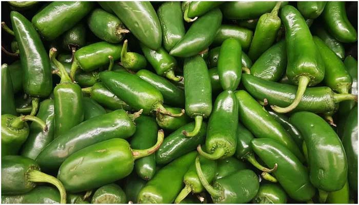 Eating green chillies improves your health – Dainik Savera Times