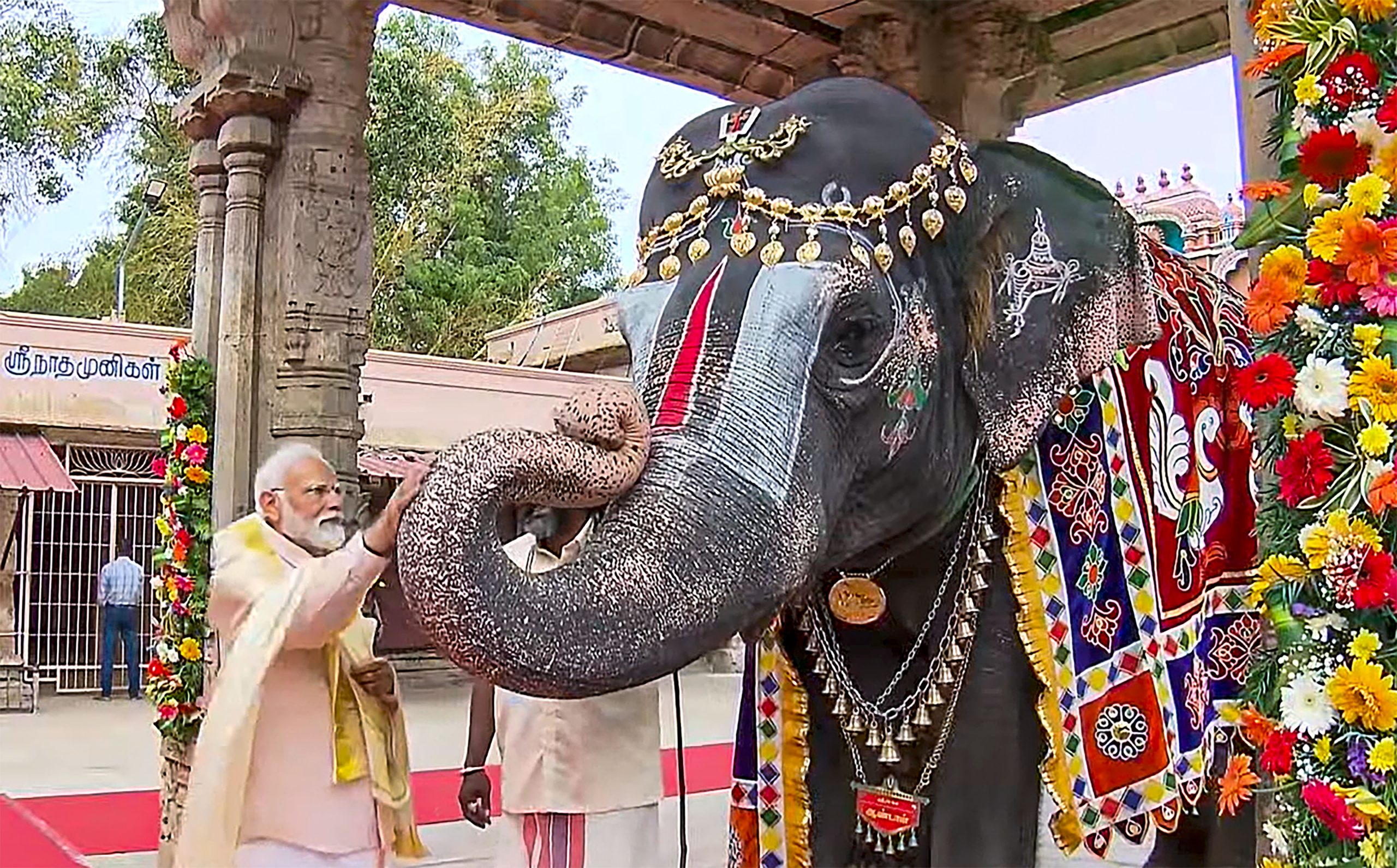 प्रधानमंत्री मोदी ने तमिलनाडु के श्रीरंगम मंदिर में पूजा-अर्चना की, हाथी को खाना खिलाकर लिया आशीर्वाद
