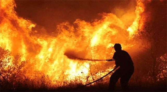 चीन के युन्नान प्रांत के जंगल में लगी आग, बचाव कार्य जारी