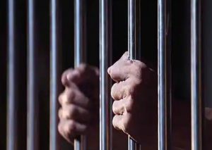जम्मू-कश्मीर : बारामूला पुलिस ने अवैध लकड़ी के साथ 3 तस्कर किए गिरफ्तार