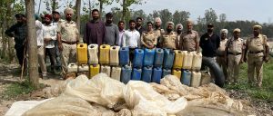 Jalandhar में आबकारी विभाग और पुलिस ने सुबह सतलुज नदी में छापेमारी कर 2.70-करोड़ की लाहन पकड़ी