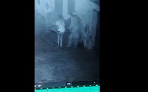 नशे की ओवरडोज से हुई मौत का मामलाः दोस्तों द्वारा शव को गंदे नाले में फेंकने का CCTV फुटेज आया सामने, महिला समेत आठ के खिलाफ केस