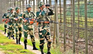 BSF ने फाजिल्का में आधा किग्रा से अधिक हैरोइन बरामद