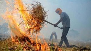 फसल अवशेष को न जलायें वरना हो सकती है कड़ी कार्रवाई