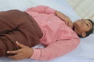 स्कूल पढ़ने जा रहे बच्चे पर पागल सियार ने किया हमला, अस्पताल में भर्ती