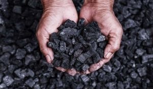 Coal India का सरकारी खजाने में योगदान चालू वित्त वर्ष की पहली छमाही में मामूली घटा 