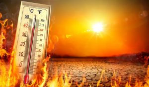 Haryana Weather : नौतपा 25 से, राजस्थान से गर्म हरियाणा, रोहतक 47 डिग्री सेल्सियस