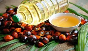 Palm Oil की कीमत बढ़ने से साबुन की कीमतों में 7 से 8 प्रतिशत की हुई वृद्धि
