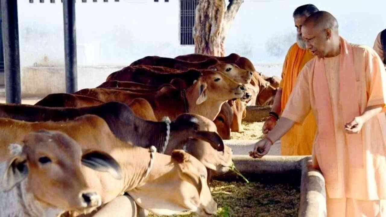 गोवंश के हित में गोचर भूमि का शत प्रतिशत उपयोग कर रही योगी सरकार