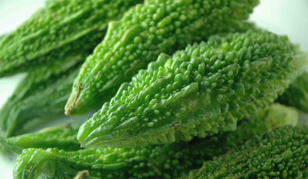 Superfood Bitter Gourd