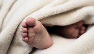 माँ के साथ सो रही नवजात बच्ची को उठा ले गया जंगली जानवर, वन विभाग ढूंढने में लगा 