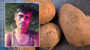 Hello साहब, 250 ग्राम आलू चोरी हो गए… शख्स ने डायल-112 पर किया फोन, मौके पर पहुंची पुलिस तो…इस इलाके का है मामला