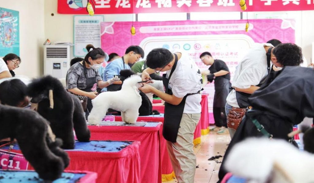 China Pet Industry