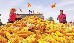 चीन में केंद्रीय ग्रामीण कार्य बैठक हुई आयोजित