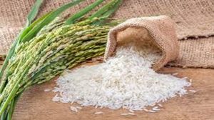 बंगलादेश करेगा भारत से 50,000 टन चावल का आयात