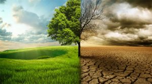 जलवायु परिवर्तन के कारण 2024 में वैश्विक स्तर पर 3,700 से अधिक लोगों की मृत्यु हुई