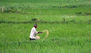 किसानों ने बजट पूर्व बैठक में सस्ता ऋण, कम कर, PM-Kisan राशि दोगुनी करने की मांग की 