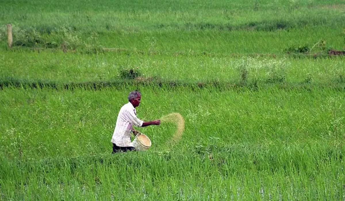 किसानों ने बजट पूर्व बैठक में सस्ता ऋण, कम कर, PM-Kisan राशि दोगुनी करने की मांग की 