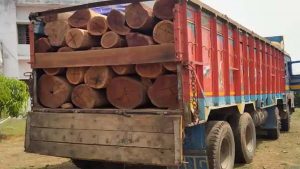 कठुआ पुलिस ने अवैध वन लकड़ी से भरी ट्रक की जब्त, एक गिरफ्तार, मामला दर्ज