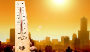 जलवायु परिवर्तन के कारण 2024 में 41 अतिरिक्त दिन तक भीषण गर्मी पड़ी