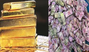 ट्रांसपोर्ट व्यवसाई पर आयकर विभाग का छापा, 50 किलो सोना और 5 करोड़ की नगदी बरामद