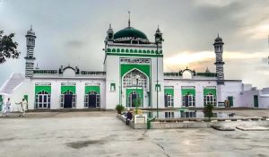 जामा मस्जिद सर्वे मामले में एएसआई ने अदालत में जवाब किया दाखिल 