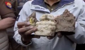 संभल मंदिर के कुएं से 48 साल बाद निकलीं खंडित मूर्तियां… 20 फीट की खुदाई में मिले धार्मिक अवशेष