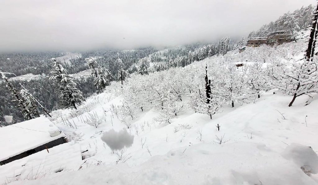 snowfall in shimla