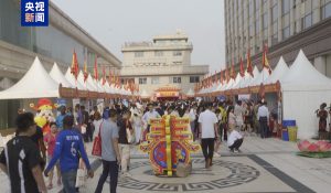 लागोस स्थित चीनी जनरल कौंसुलेट ने वसंतोत्सव के उपलक्ष्य में कार्यक्रम का किया आयोजन