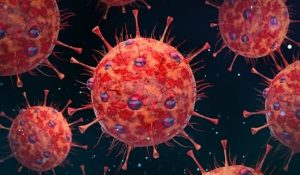 HMPV Virus : भारत में तेजी से फैल रही HMPV वायरस, नागपुर में मिले 2 और मरीज