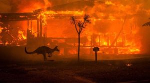 Australia Forest fire : ऑस्ट्रेलिया में जंगलों में लगी आग, कई घर जलकर हुए खाक
