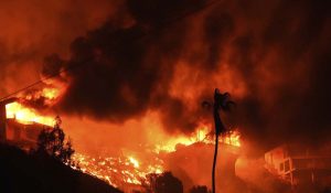 Los Angeles Fire : तबाह स्कूलों के पुन निर्माण में लग सकते हैं कई साल, सैकड़ों मिलियन डॉलर की जरुरत