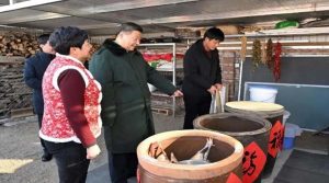 चीनी परंपरागत वसंत त्योहार पर राष्ट्रपति शी चिनफिंग की शुभकामनाएं