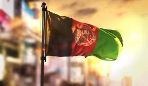 Afghanistan : बामियान में 10.5 टन अवैध ड्रग्स को किया गया नष्ट