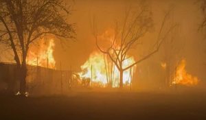 Los Angeles में अभी भी खतरा टला नही…तेज हवा चलने से भड़क सकती है आग!