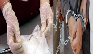 Mumbai Drugs Smuggling : बड़े ड्रग सिंडिकेट का भंडाफोड़, 11.54 किलोग्राम कोकीन और 4.9 किलोग्राम ड्रग्स जब्त, 4 गिरफ्तार