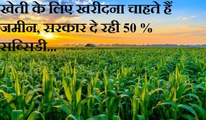 खेती के लिए खरीदना चाहते हैं जमीन, सरकार दे रही 50 % सब्सिडी… जानिए कैसे करें अप्लाई