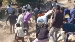 मुर्गों से लदी पिकअप पलटी, लूटने वालों में मची होड़, देखें वीडियो