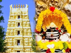 महाशिवरात्रि 2025 : द्वादश ज्योतिर्लिंग जहां बसते हैं भगवान, भक्तों की मनुहार को किया सहर्ष स्वीकार