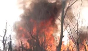Srinagar के बाड़ी नमबल बेबांडेम में लगी भीषण आग, बचाव कार्य जारी, देखें Video