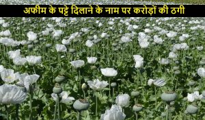 अफीम के पट्टे दिलाने के नाम पर करोड़ों की ठगी का मामला दर्ज