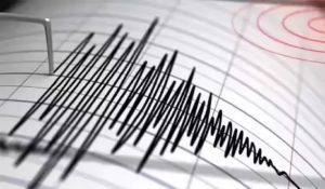 Earthquake: भूकंप के तेज झटकों से हिली धरती, डरे सहमे लोग घरों से निकले बाहर