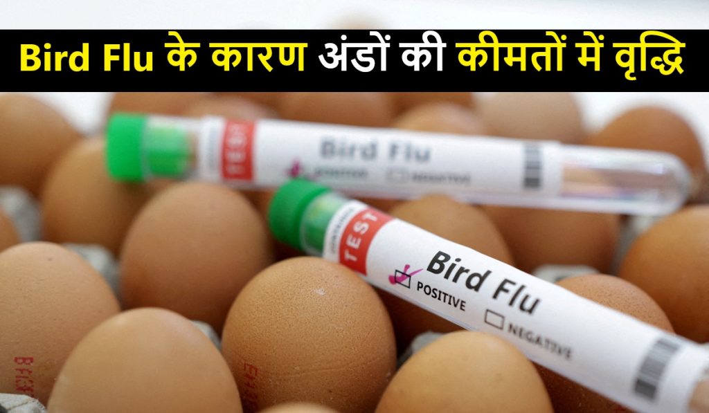 Bird Flu causes egg prices