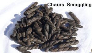 Nepal सीमा पर 4 करोड़ की चरस पकड़ी, एक गिरफ्तार