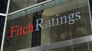 भारत का बड़ा घरेलू बाजार अमरीकी टैरिफ के प्रभाव को कम करेगा : FITCH