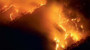 South Korea Wildfire: जंगलों में लगी भीषण आग…बढ़ी मरने वालों की संख्या, 18 की मौत 19 अन्य घायल, कई लोग हुए बेघर